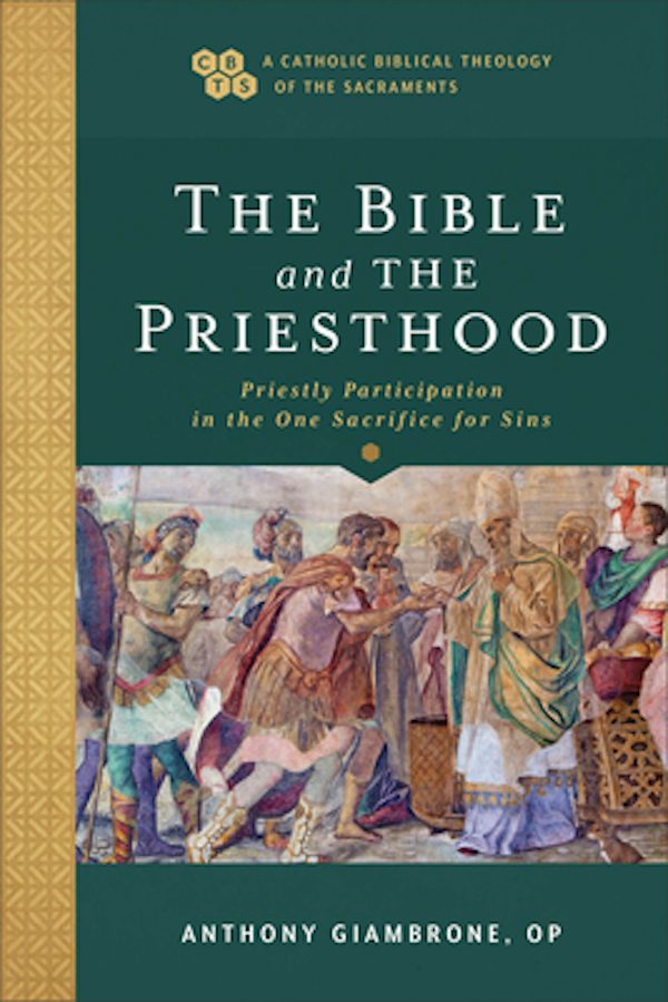 Cover image for Bible and the Priesthood, isbn: 9781540961860