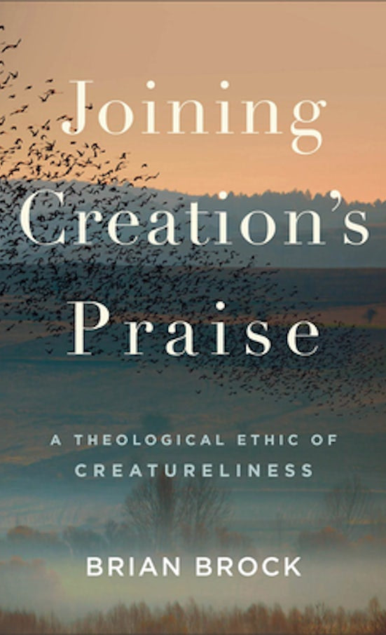 Cover image for Joining Creation's Praise, isbn: 9781540963260