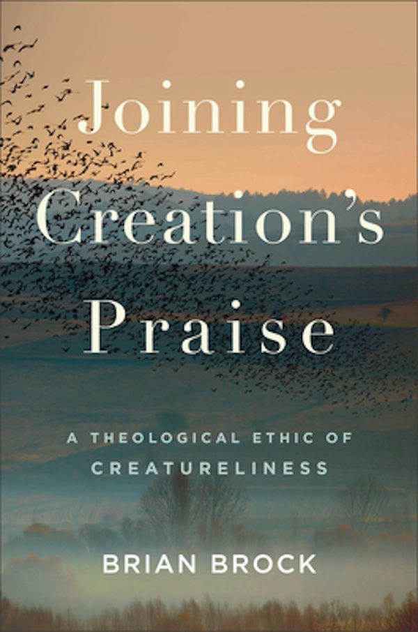 Cover image for Joining Creation's Praise, isbn: 9781540963260