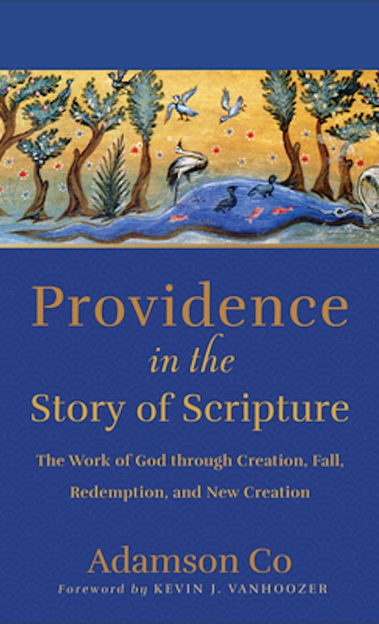 Cover image for Providence in the Story of Scripture, isbn: 9781540965455