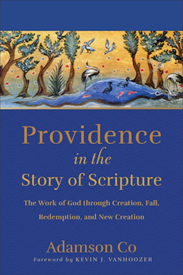 Cover image for Providence in the Story of Scripture, isbn: 9781540965455