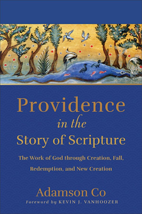 Cover image for Providence in the Story of Scripture, isbn: 9781540965455