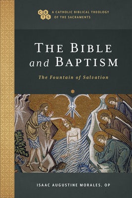 Cover image for Bible and Baptism, isbn: 9781540965653