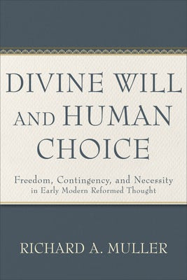 Cover image for Divine Will and Human Choice, isbn: 9781540965981
