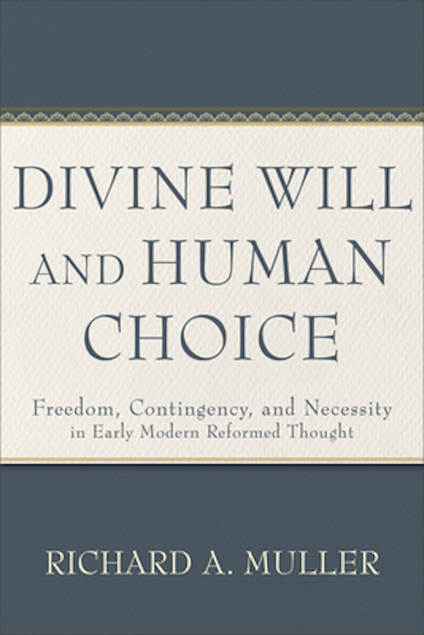 Cover image for Divine Will and Human Choice, isbn: 9781540965981