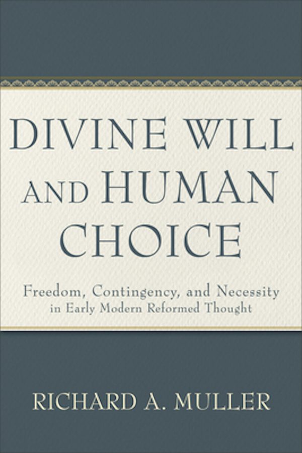 Cover image for Divine Will and Human Choice, isbn: 9781540965981