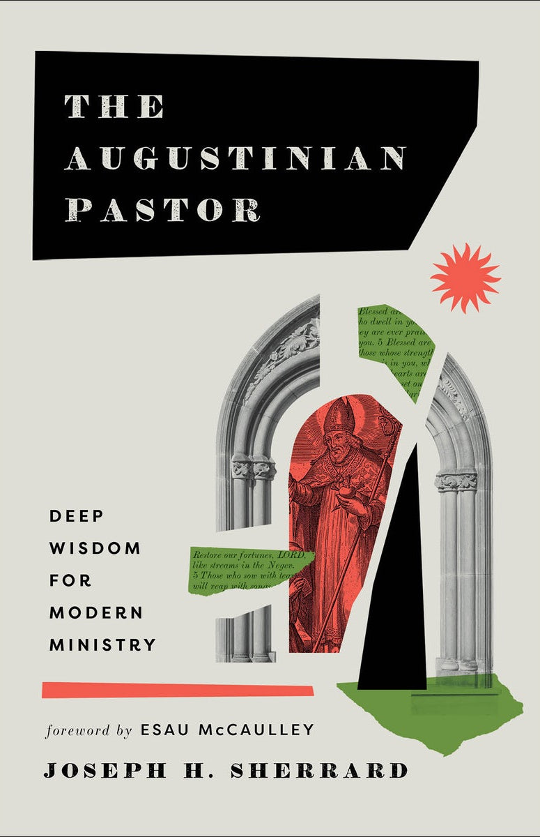 Cover image for The Augustinian Pastor, isbn: 9781540966902