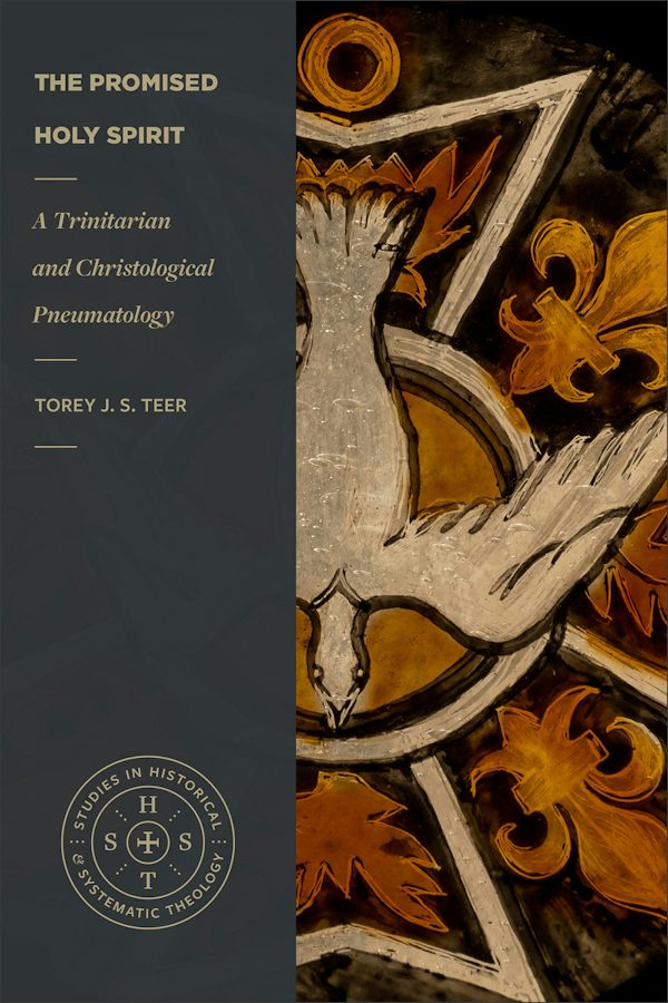 Cover image for The Promised Holy Spirit, isbn: 9781540971425