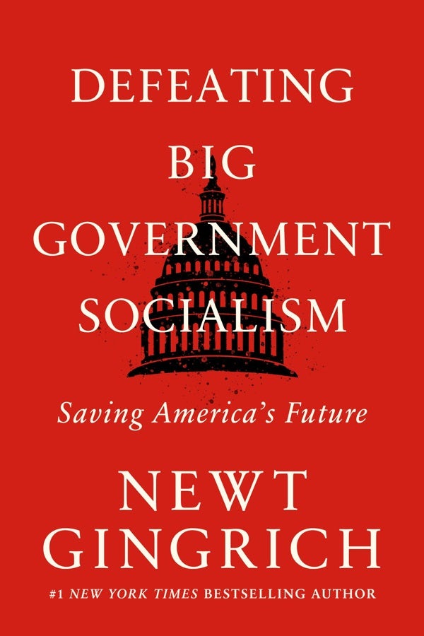 Cover image for Defeating Big Government Socialism, isbn: 9781546003199