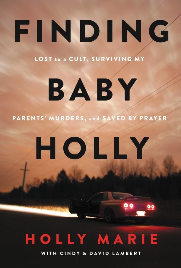Cover image for Finding Baby Holly, isbn: 9781546006442