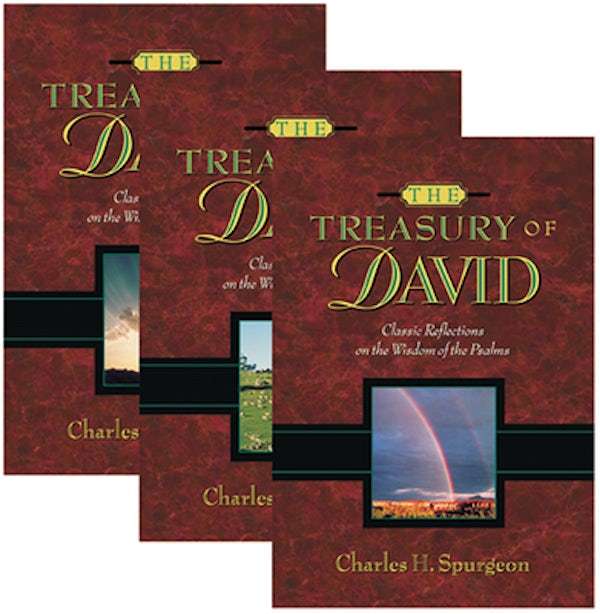 Cover image for The Treasury of David, isbn: 9781565639454