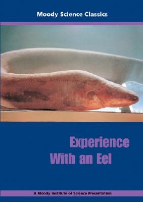 Cover image for Experience with an Eel, isbn: 9781575672502