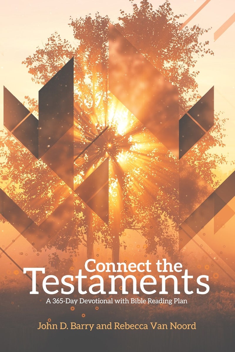 Cover image for Connect the Testaments, isbn: 9781577995821