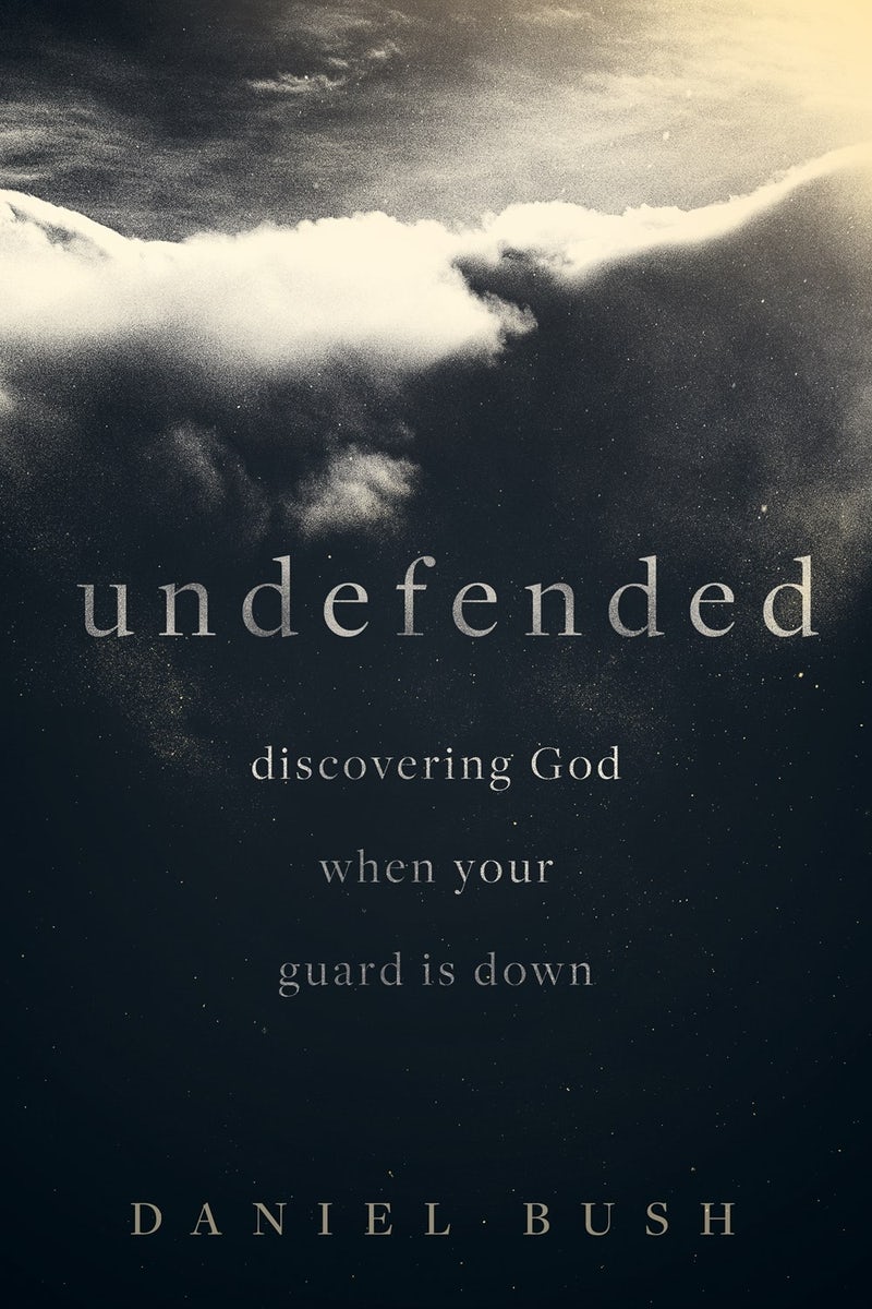 Cover image for Undefended, isbn: 9781577997467