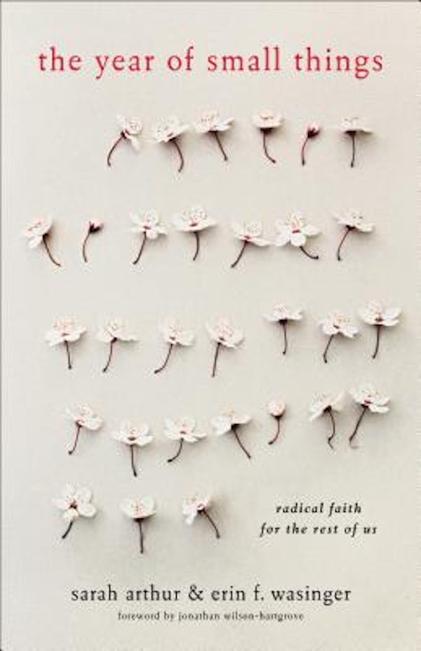 Cover image for The Year of Small Things, isbn: 9781587433825