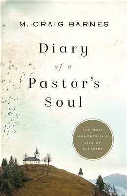 Cover image for Diary of a Pastor's Soul, isbn: 9781587434440