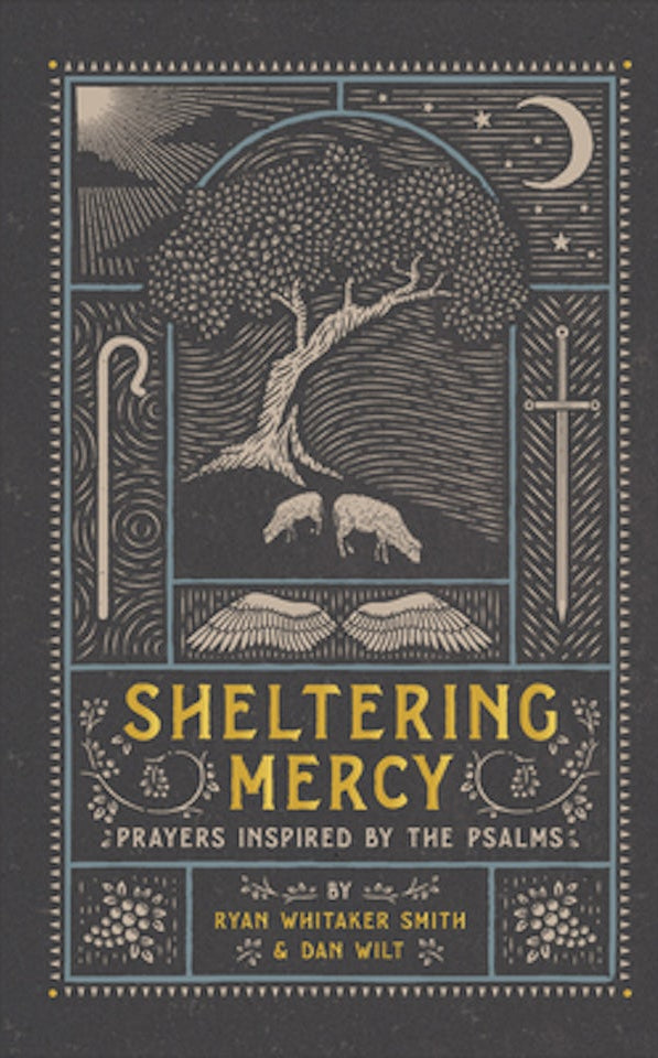 Cover image for Sheltering Mercy, isbn: 9781587435461