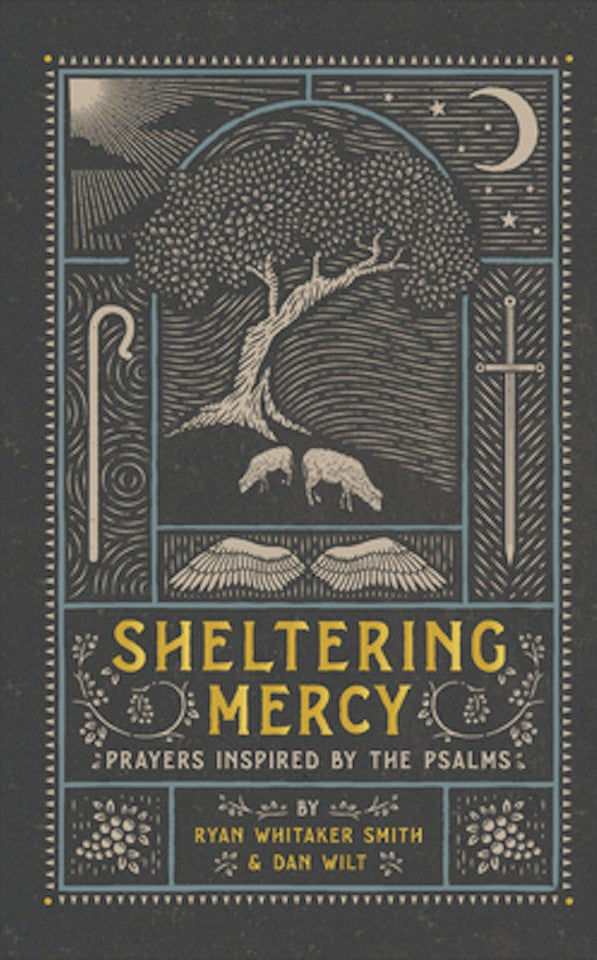Cover image for Sheltering Mercy, isbn: 9781587435461