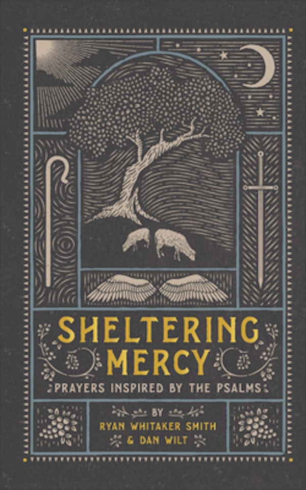 Cover image for Sheltering Mercy, isbn: 9781587435461