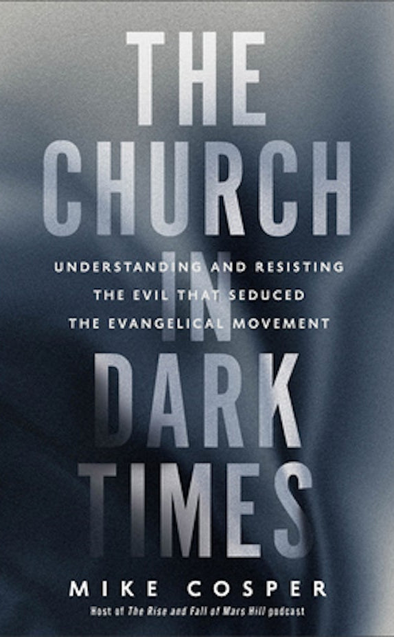 Cover image for The Church in Dark Times, isbn: 9781587435737