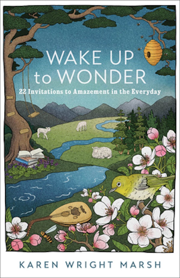 Cover image for Wake Up to Wonder, isbn: 9781587435805
