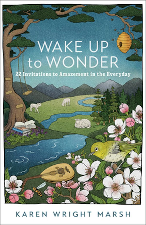 Cover image for Wake Up to Wonder, isbn: 9781587435805
