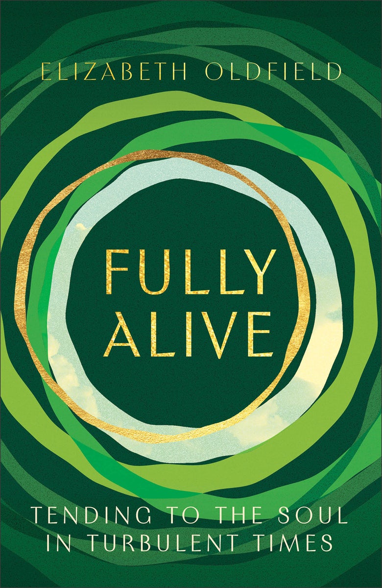 Cover image for Fully Alive, isbn: 9781587436505