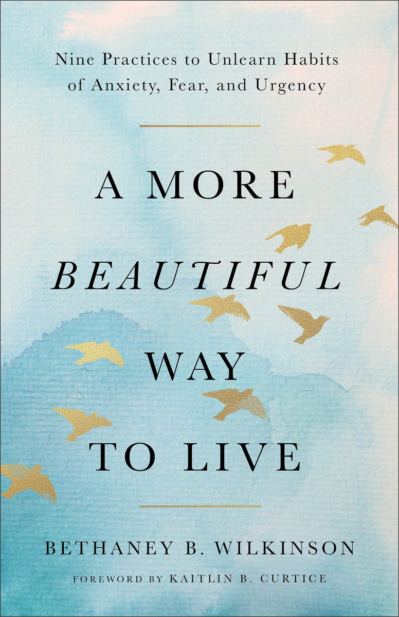 Cover image for A More Beautiful Way to Live, isbn: 9781587436581