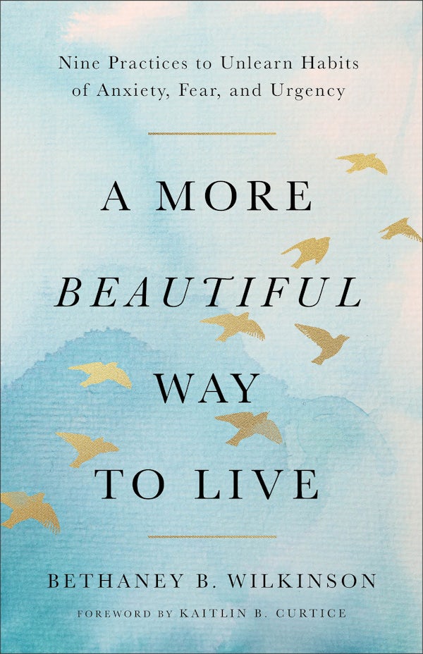 Cover image for A More Beautiful Way to Live, isbn: 9781587436581