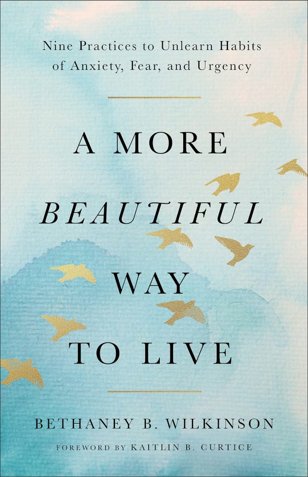 Cover image for A More Beautiful Way to Live, isbn: 9781587436581