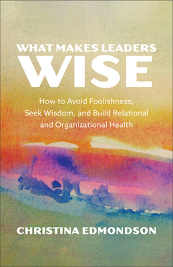 Cover image for What Wise Leaders Do, isbn: 9781587436789