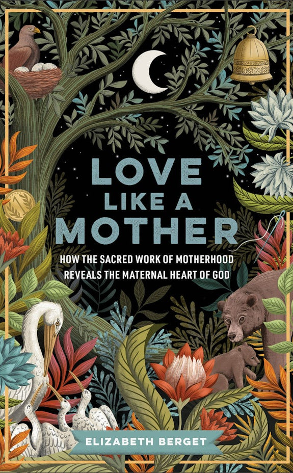 Cover image for Love Like a Mother, isbn: 9781587436819