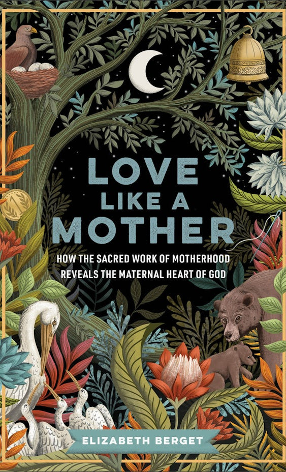 Cover image for Love Like a Mother, isbn: 9781587436819
