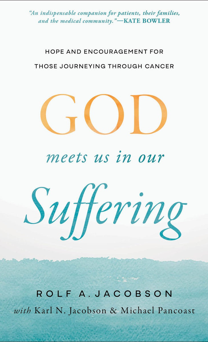 Cover image for God Meets Us in Our Suffering, isbn: 9781587436932