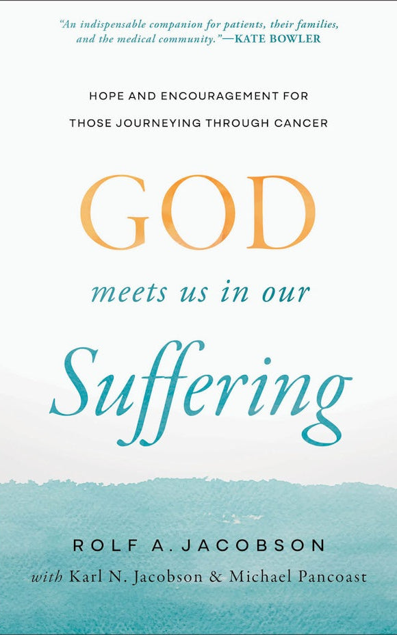 Cover image for God Meets Us in Our Suffering, isbn: 9781587436932