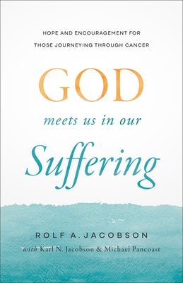Cover image for God Meets Us in Our Suffering, isbn: 9781587436932