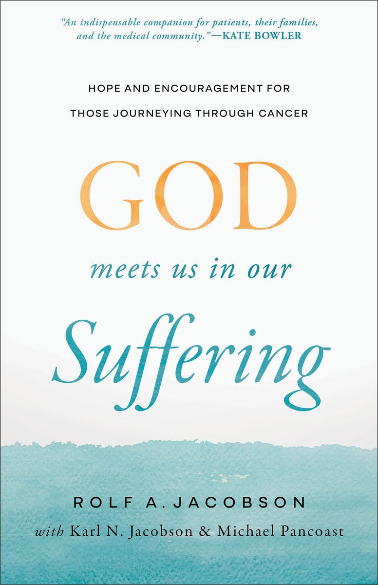 Cover image for God Meets Us in Our Suffering, isbn: 9781587436932