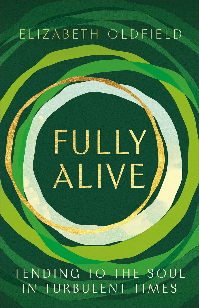 Cover image for Fully Alive, isbn: 9781587437021