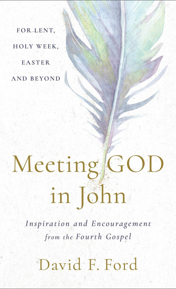 Cover image for Meeting God in John, isbn: 9781587437069