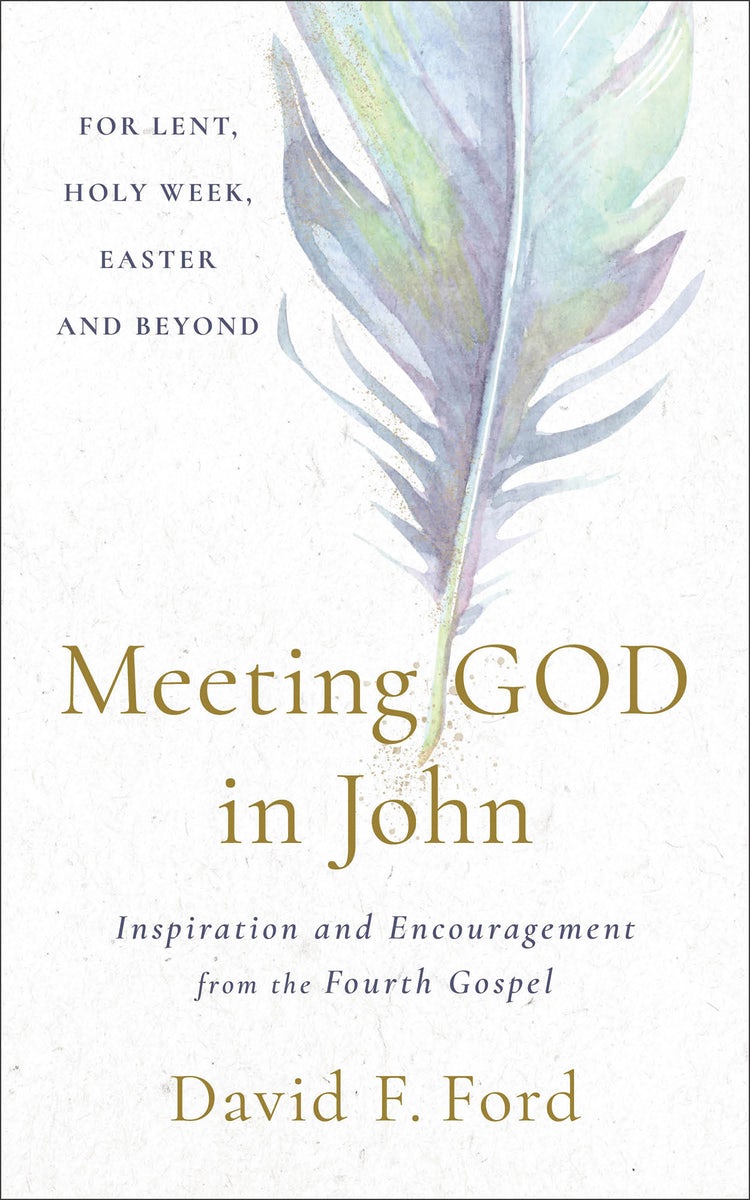 Cover image for Meeting God in John, isbn: 9781587437069