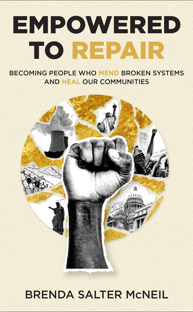 Cover image for Empowered to Repair, isbn: 9781587437229