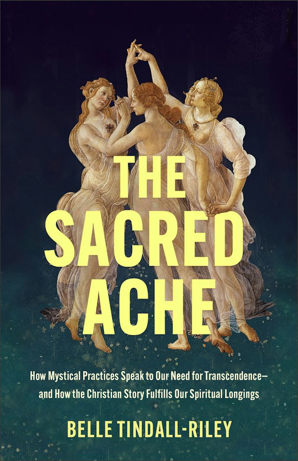 Cover image for The Sacred Ache, isbn: 9781587437328