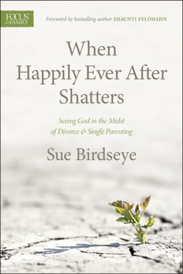 Cover image for When Happily Ever After Shatters, isbn: 9781589977341