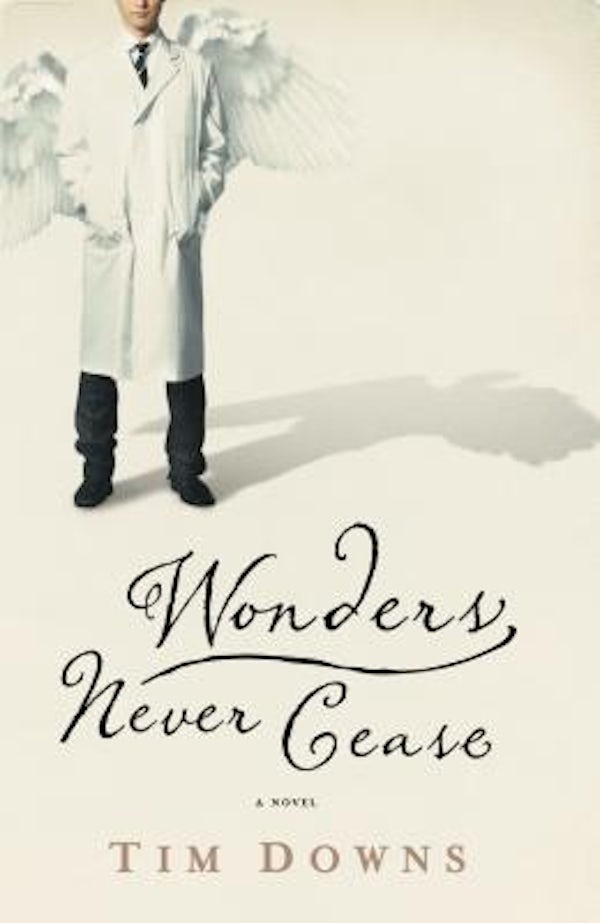Cover image for The Wonders Never Cease, isbn: 9781595543097