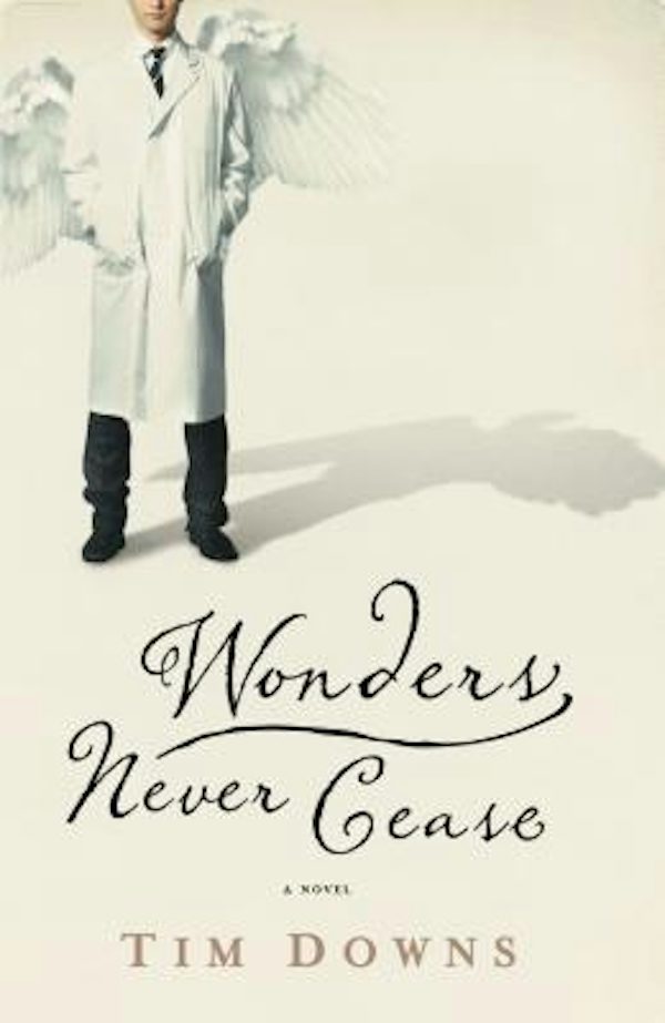 Cover image for The Wonders Never Cease, isbn: 9781595543097