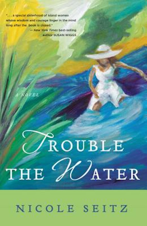 Cover image for A Trouble the Water, isbn: 9781595544001