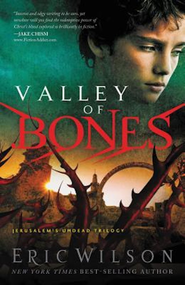 Cover image for A Valley of Bones, isbn: 9781595544605