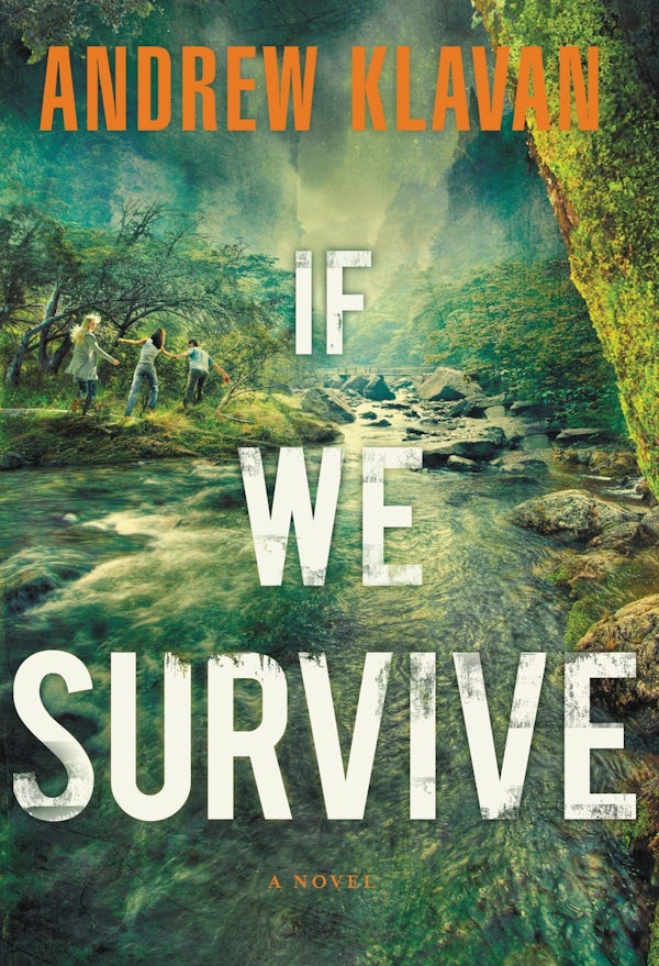 Cover image for If We Survive, isbn: 9781595547965