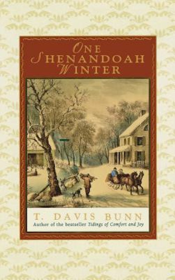 Cover image for The One Shenandoah Winter, isbn: 9781595548313