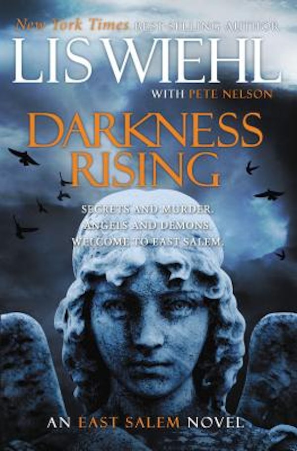 Cover image for The Darkness Rising, isbn: 9781595549440